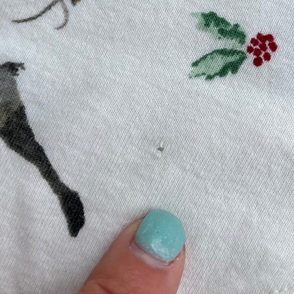 Burt's Bees 2 Piece Northern Reindeer Organic Cotton Pet Bandanas in Cardinal - Picture 5 of 7